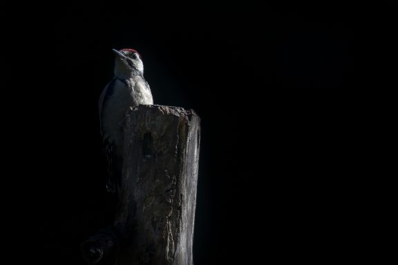 Jouer avec la lumière