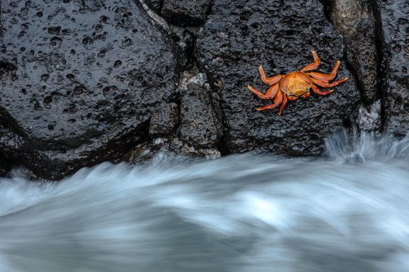 S'accrocher à son rocher et laisser passer la tempête